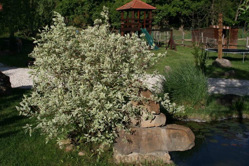 Malomdulo Farmhaz Guest House Pilisborosjenő Eksteriør bilde