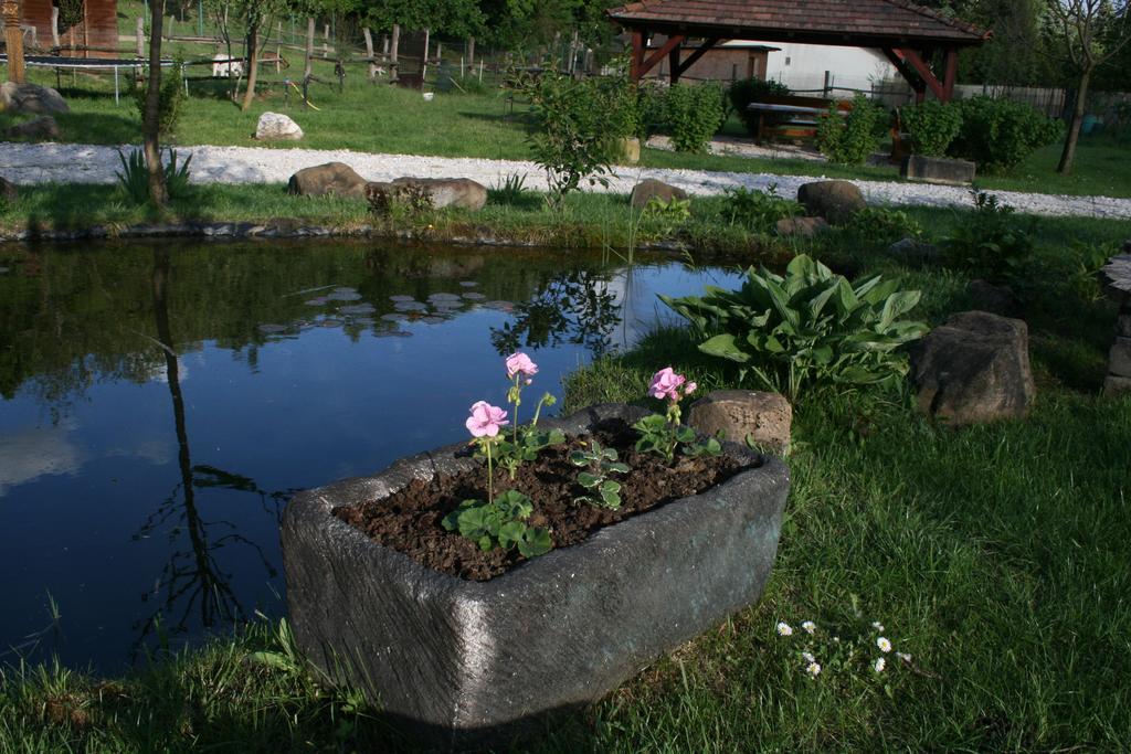 Malomdulo Farmhaz Guest House Pilisborosjenő Eksteriør bilde